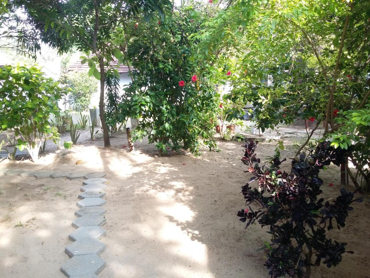 Arugam Bay Holiday 外观 照片